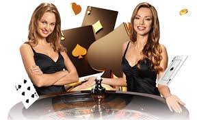 196bet 196bet